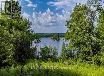 0 Fire Route 26B, Smith-Ennismore-Lakefield, Ontario K0L2H0, ,Vacant Land,For Sale,Fire Route 26B,X7031604 0 Fire Route 26B, Smith-Ennismore-Lakefield, Ontario K0L2H0, ,Vacant Land,For Sale,Fire Route 26B,X7031604