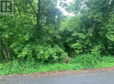 115 Wellington Street, Trent Hills, Ontario K0L1Y0, ,Vacant Land,For Sale,Wellington,X7032730 115 Wellington Street, Trent Hills, Ontario K0L1Y0, ,Vacant Land,For Sale,Wellington,X7032730
