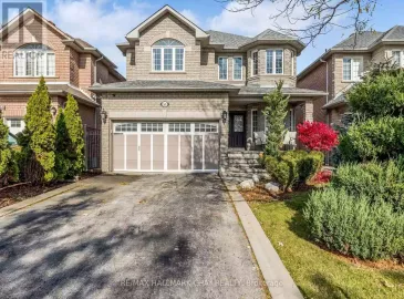 160 Golden Gate Circle, Vaughan, Ontario L4H1N6, 1 Bedroom Bedrooms, ,1 BathroomBathrooms,Single Family,For Lease,Golden Gate,N7300276