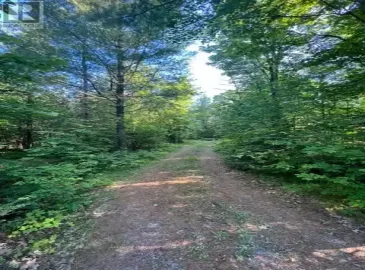 94 Hugill Road, Kawartha Lakes, Ontario K0M1K0, ,Vacant Land,For Sale,Hugill,X7303138