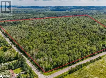 5349 30TH SIDE Road, Essa, Ontario L0M1T0, ,Vacant Land,For Sale,30TH SIDE,40513931