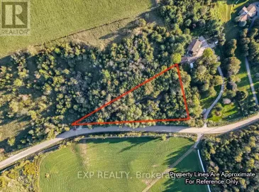 5703 10th Sideroad, Essa, Ontario L0L1N0, ,Vacant Land,For Sale,10th,N7303846