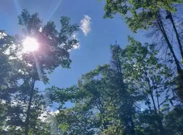 68 Wozniak Road, Penetanguishene, ON L9M1W5, ,Vacant Land,For Sale,Wozniak,S7229004