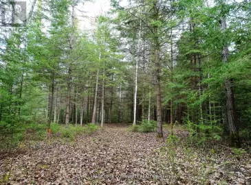 10729 Consession 3 Road, Uxbridge, Ontario L0E1T0, ,Vacant Land,For Sale,Consession 3,N7305736