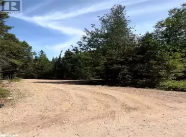 N/A Riverside Drive, Bonfield, Ontario P0H1E0, ,Vacant Land,For Sale,Riverside,X7308052 N/A Riverside Drive, Bonfield, Ontario P0H1E0, ,Vacant Land,For Sale,Riverside,X7308052