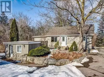 1364 Queen Street, Brampton, Ontario L6X0B2, 5 Bedrooms Bedrooms, ,2 BathroomsBathrooms,Single Family,For Lease,Queen,W7308098 1364 Queen Street, Brampton, Ontario L6X0B2, 5 Bedrooms Bedrooms, ,2 BathroomsBathrooms,Single Family,For Lease,Queen,W7308098