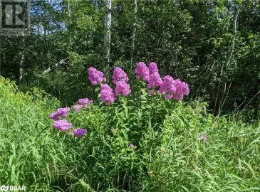 2361 GEORGE JOHNSTON Road, Minesing, Ontario L0L1Y0, ,Vacant Land,For Sale,GEORGE JOHNSTON,40514718