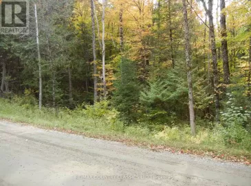 0 Rose Island Road, Wollaston, ON K0L1P0, ,Vacant Land,For Sale,Rose Island,X7040866 0 Rose Island Road, Wollaston, ON K0L1P0, ,Vacant Land,For Sale,Rose Island,X7040866