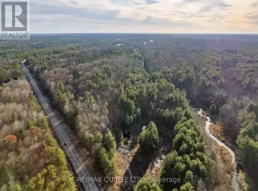0 Highway 41, Addington Highlands, Ontario K0H1Z0, ,Vacant Land,For Sale,Highway 41,X7308322 0 Highway 41, Addington Highlands, Ontario K0H1Z0, ,Vacant Land,For Sale,Highway 41,X7308322