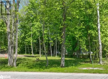 4383 HURONIA Road, Orillia, Ontario L3V0G7, ,Vacant Land,For Sale,HURONIA,40497132 4383 HURONIA Road, Orillia, Ontario L3V0G7, ,Vacant Land,For Sale,HURONIA,40497132