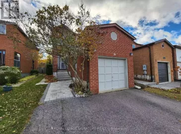 79 Rejane Crescent, Vaughan, Ontario L4J5A5, 1 Bedroom Bedrooms, ,1 BathroomBathrooms,Single Family,For Lease,Rejane,N7308902 79 Rejane Crescent, Vaughan, Ontario L4J5A5, 1 Bedroom Bedrooms, ,1 BathroomBathrooms,Single Family,For Lease,Rejane,N7308902