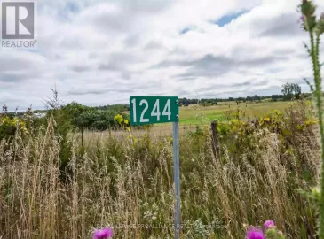 1244 County Road 7, Prince Edward County, Ontario K0K2T0, ,Vacant Land,For Sale,County Road 7,X7037596