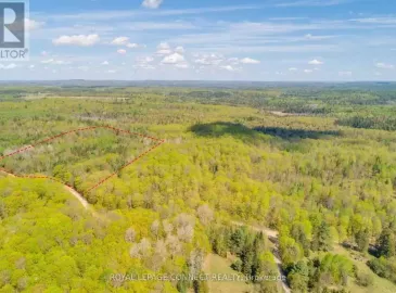 0 Colbourne Road, Bancroft, ON K9H2L1, ,Vacant Land,For Sale,Colbourne,X7046434