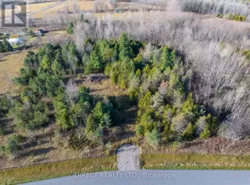 10 Gummow Road, Trent Hills, Ontario K0K3K0, ,Vacant Land,For Sale,Gummow,X7307446