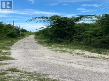 85 Fullers Wood Road, Jamaica, Ontario, ,Vacant Land,For Sale,Fullers Wood,Z7309870 85 Fullers Wood Road, Jamaica, Ontario, ,Vacant Land,For Sale,Fullers Wood,Z7309870
