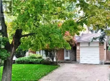 35 Davean Drive, Toronto, Ontario M2L2R6, 5 Bedrooms Bedrooms, ,3 BathroomsBathrooms,Single Family,For Lease,Davean,C7312388