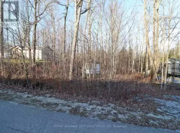 Lot 42 Maple Street, Lanark Highlands, ON K0G1M0, ,Vacant Land,For Sale,Maple,X7313830 Lot 42 Maple Street, Lanark Highlands, ON K0G1M0, ,Vacant Land,For Sale,Maple,X7313830