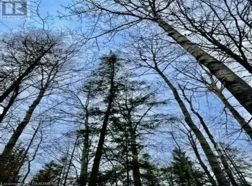 93 MCCLEARY Road, Marmora, Ontario K0K2M0, ,Vacant Land,For Sale,MCCLEARY,40515771