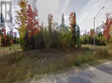 Lot 19 Nicklaus Drive, Bancroft, Ontario K0L1C0, ,Vacant Land,For Sale,Nicklaus,X7314878