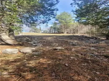 0 Drag Court, Dysart et al, Ontario K0M1S0, ,Vacant Land,For Sale,Drag,X5808794 0 Drag Court, Dysart et al, Ontario K0M1S0, ,Vacant Land,For Sale,Drag,X5808794
