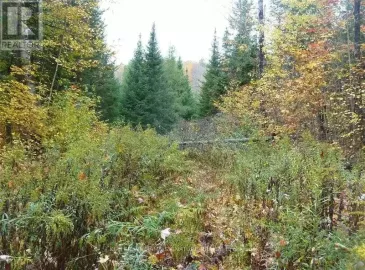 Pt Lt 8 Con7 Hwy 503, Highlands East, Ontario K0L2Y0, ,Vacant Land,For Sale,Con7 Hwy 503,X5808733