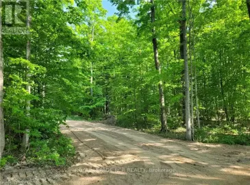 Ptlt 41 Robson Road Road, Chatsworth, Ontario N0H1R0, ,Vacant Land,For Sale,Robson Road,X6098040
