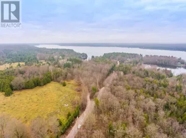 Pl 347 Island Road, Kawartha Lakes, Ontario K0M1C0, ,Vacant Land,For Sale,Island,X6626472