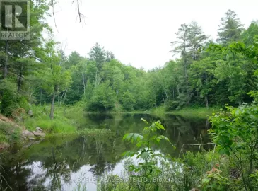 1874 Highway 11, Gravenhurst, ON P0E1G0, ,Vacant Land,For Sale,Highway 11,X6637082