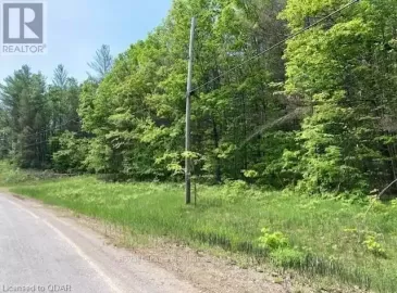 338 Glen Allen Road, Marmora and Lake, Ontario K0K2M0, ,Vacant Land,For Sale,Glen Allen,X6560753