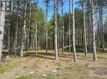 10034A Hwy. 62, Stirling-Rawdon, ON K0K3E0, ,Vacant Land,For Sale,Hwy. 62,X6565644