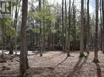 Lot 4 Future Lane, Stirling-Rawdon, ON K0K2M0, ,Vacant Land,For Sale,Future,X6562789
