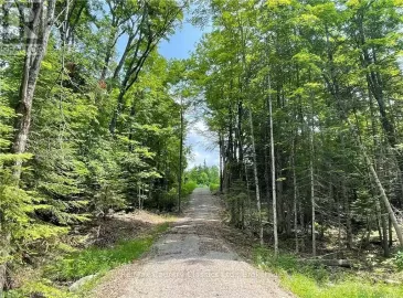 2745 Old Hastings Road, Limerick, Ontario K0L1P0, ,Vacant Land,For Sale,Old Hastings,X6337595