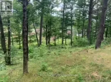 1541 Blue Heron Ridge, Central Frontenac, Ontario K0H1B0, ,Vacant Land,For Sale,Blue Heron,X6718300 1541 Blue Heron Ridge, Central Frontenac, Ontario K0H1B0, ,Vacant Land,For Sale,Blue Heron,X6718300