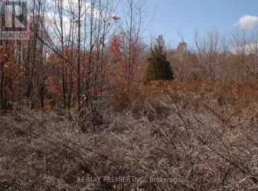 N/A Con 6 N Pt Lot 26, Tweed, Ontario K0K3J0, ,Vacant Land,For Sale,Con 6 N Pt Lot 26,X6739584 N/A Con 6 N Pt Lot 26, Tweed, Ontario K0K3J0, ,Vacant Land,For Sale,Con 6 N Pt Lot 26,X6739584