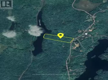 92 Lorimer Lake Road, McDougall, Ontario P2A2W7, ,Vacant Land,For Sale,Lorimer Lake,X6741154