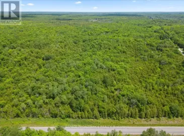 0 Marlbank Rd, Tweed, Ontario K0K3J0, ,Vacant Land,For Sale,Marlbank Rd,X6760530
