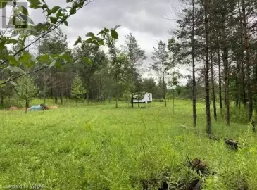 236370 2B Concession, Chatsworth, Ontario N0H1G0, ,Vacant Land,For Sale,2B,40468000
