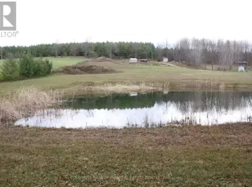 Pt Lt24 Sideroad 8, Chatsworth, ON N0H1K0, ,Vacant Land,For Sale,Sideroad 8,X7279126 Pt Lt24 Sideroad 8, Chatsworth, ON N0H1K0, ,Vacant Land,For Sale,Sideroad 8,X7279126