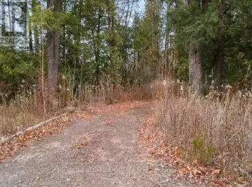 12 Station Road, Marmora and Lake, Ontario K0K2M0, ,Vacant Land,For Sale,Station,X7316472