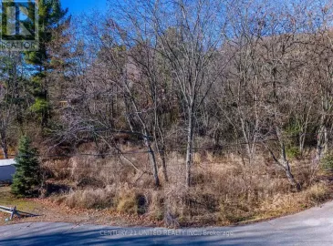 15 Rosecliff Court, Trent Hills, Ontario K0L1Y0, ,Vacant Land,For Sale,Rosecliff,X7316574 15 Rosecliff Court, Trent Hills, Ontario K0L1Y0, ,Vacant Land,For Sale,Rosecliff,X7316574