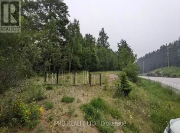 00 Highway 28, Bancroft, Ontario K0L1C0, ,Vacant Land,For Sale,Highway 28,X6206072