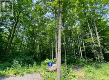 60 Richardson Road, Trent Hills, Ontario K0K1X0, ,Vacant Land,For Sale,Richardson,X6622114