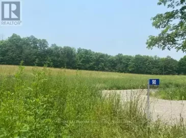 90 Richardson Road, Trent Hills, Ontario K0K1X0, ,Vacant Land,For Sale,Richardson,X6622124