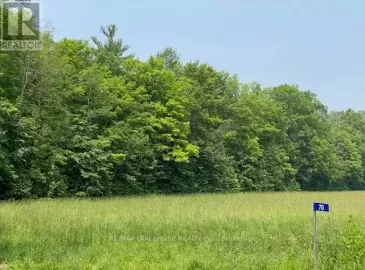 70 Richardson Road, Trent Hills, ON K0K1X0, ,Vacant Land,For Sale,Richardson,X6622134