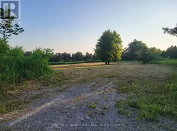 00 Porter Road, Alnwick/Haldimand, Ontario K0K3K0, ,Vacant Land,For Sale,Porter,X6641330