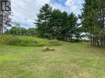 26686 Highway 62, Bancroft, ON K0L1C0, ,Vacant Land,For Sale,Highway 62,X6030991