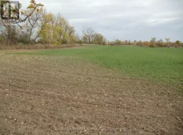 Ptlt 24 Concession Rd 3, Adjala-Tosorontio, Ontario L0G1L0, ,Vacant Land,For Sale,Concession Rd 3,N6644032