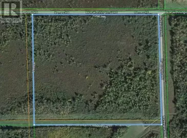 19337 Byrnes Road, Dawson, ON P0W1L0, ,Vacant Land,For Sale,Byrnes,X6694286