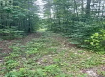 Pt Lots 21&22 Concession 1, Scugog, ON L0B1L0, ,Vacant Land,For Sale,21&22 Concession 1,E6696018