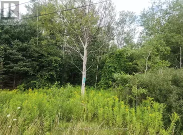 20223 Bathurst Street, East Gwillimbury, Ontario L9N1N3, ,Vacant Land,For Sale,Bathurst,N6742878